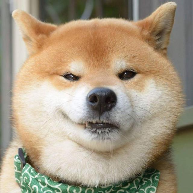 ngx_http_google_filter_module模块