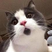 mysql主从问题 Error ‘Duplicate entry ‘10587590’ for key ‘PRIMARY” on query. Default database: ‘test’. Query: ‘INSERT INTO `user_invite_relation` (`user_info_id`, `parent_id`, `level`) VALUES (‘10592996’, ‘10592991’, ’82’)’